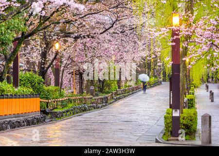 Gion Shirakawa, Kyoto, les rues de la vieille ville du Japon au printemps. Banque D'Images