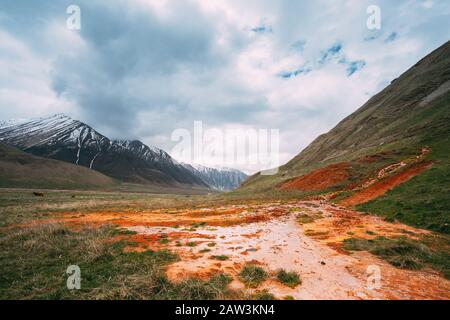 Région De Mtskheta-Mtianeti, Géorgie. Paysage Printanier Avec Sources Minérales Sur Terre Dans La Gorge De Truso Dans Le District De Kazbegi, Région De Mtskheta-Mtianeti, Georg Banque D'Images