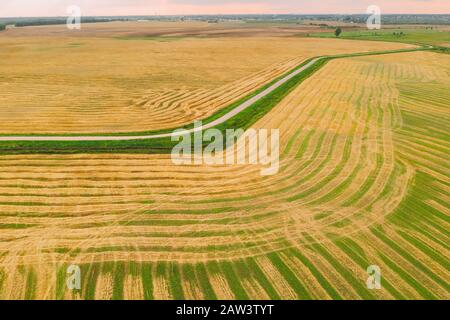 Vue Aérienne Du Paysage Rural. Champ Vert Et Jaune Naturel Avec Lignes De Sentiers. Vue De Dessus Du Champ À La Fin De L'Été Pendant La Récolte. Drone Vi Banque D'Images