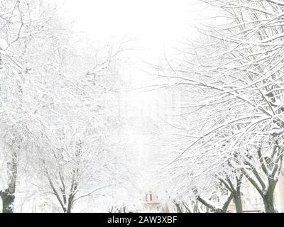 Les arbres couverts de neige dans un parc en Italie Rome en hiver. Banque D'Images