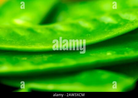 fond vert réalisé à partir de pois mange-tout succulents avec un foyer sélectif extrême pour l'espace de copie et le texte d'affiche Banque D'Images