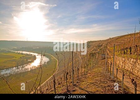 Sur le sentier de randonnée des vins et des fruits (Wein- & Obstwanderweg Mundeslheim) dans les vignobles près de Hessigheim / Mundeslheim. Vue vers le vista 'Kaesber Banque D'Images