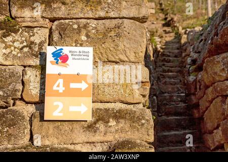 Hessigheim, Allemagne - 27 décembre 2015 : sentier de randonnée des vins et des fruits (Wein- & Obstwanderweg Mundeslheim) situé dans les vignobles près de Hessigheim Banque D'Images