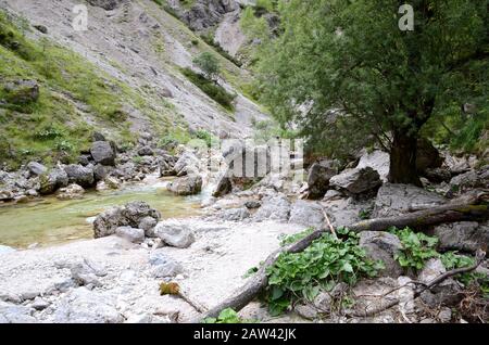 L'Ötschergräben est un canyon spéculaire près du mont Ötscher en Basse-Autriche Banque D'Images