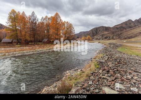 Automne République de l'Altaï rivière Katun Chuya tractus Banque D'Images