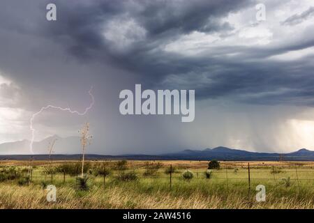 Paysage pittoresque et foudre d'une tempête de mousson près de Sonoita, Arizona Banque D'Images