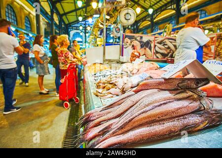 Jerez, ESPAGNE - 20 SEPTEMBRE 2019 : le poisson frais au comptoir du décrochage dans le Mercado Central de Abastos (marché central d'Abastos), le 20 septembre Banque D'Images