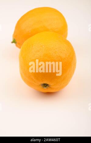 Deux citrons jaunes mûrs sur fond blanc. Gros plan Banque D'Images