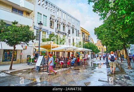 Jerez, ESPAGNE - 20 SEPTEMBRE 2019: La allée verte de marche dans la rue Calle Lanceria avec des lignes d'orangers, des cafés extérieurs et des bâtiments pittoresques, on Banque D'Images