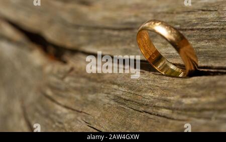 22ct bague de mariage antique en or, avec la marque Birmingham clairement visible, car elle est fermement saisie et maintenue à l'extrémité dans une fente dans un tronc d'arbre. Banque D'Images