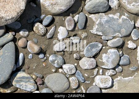 Différentes pierres sur le sable humide de rivière mélangé avec du limon. Banque D'Images