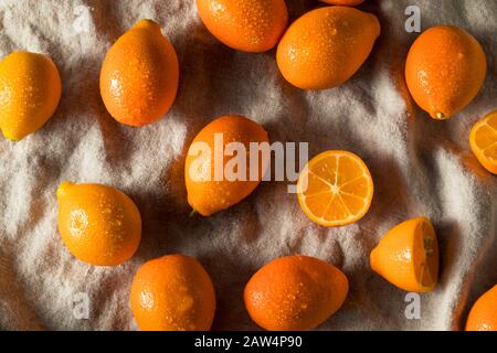 Orange Biologique Brut Kumquat Mandarinquats Prêts À Manger Banque D'Images