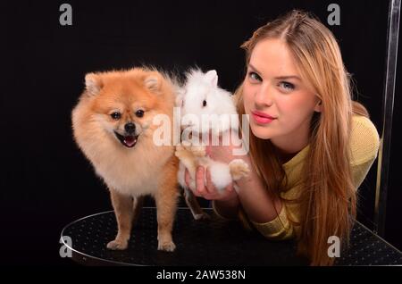 Jeune, joli coiffeur d'animaux de compagnie posant avec le chien de Pomeranian et le lapin blanc Banque D'Images