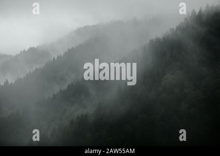 Blick von der Aussichtsplattform Studenfelsen à Oppenau im Schwarzwald. Der fsteigende Nebel erschafft eine märchenhafte mystische Atmosphäre. Banque D'Images