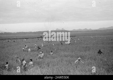 Pankelan à Krawang. Rapport à Pankelan. Outpost Isolé 1-4-8- Régiment D'Infanterie Krawang Date : 12 Mars 1948 Lieu : Indonésie, Krawang, Antilles Néerlandaises Banque D'Images