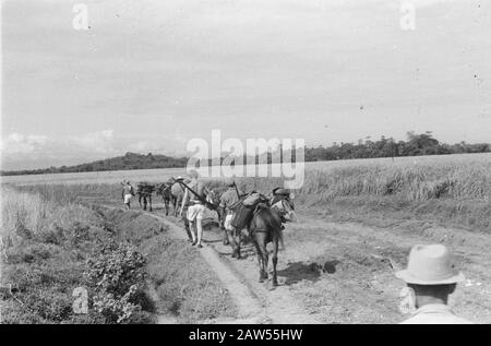 Pankelan à Krawang. Rapport à Pankelan. Outpost Isolé 1-4-8- Régiment D'Infanterie Krawang Date : 12 Mars 1948 Lieu : Indonésie, Krawang, Antilles Néerlandaises Banque D'Images