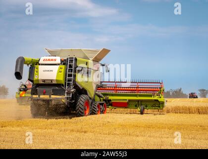 Canterbury, Nouvelle-Zélande - 2 février 2020: Une grande moissonneuse-batteuse travaillant dans un champ d'orge en été Banque D'Images