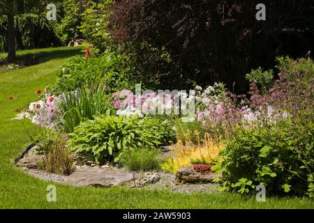 Pelouse en herbe verte soignée, bordure de style anglais avec des fleurs blanches de Paeonia ‘Festiva Maxima’ - pivoine, mauve Dianthus ‘Loveliness arc-en-ciel’ - Carnation Banque D'Images