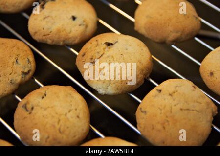 Gros plan de quelques cookies faits maison se refroidissant sur un plateau après avoir quitté le four Banque D'Images