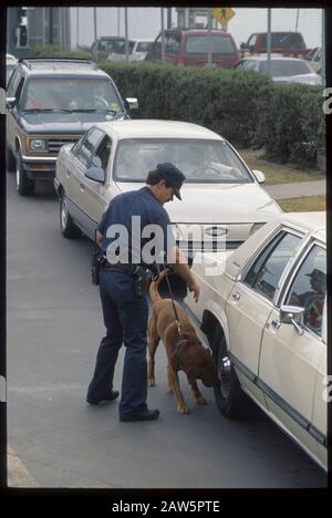 L'agent des douanes des États-Unis et son chien qui brège des drogues cherchent des voitures de recherche pour des drogues, des étrangers illégaux ou de la contrebande alors qu'ils entrent aux États-Unis du Mexique à la station de passage frontalier de Brownsville, Texas. Banque D'Images