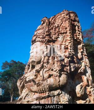 Copan, Honduras, septembre 1993 : artefact Maya Stela H représentant le roi Maya Uaxaclajuun ub’aah k’awiil sculpté750 A.D., situé dans la ville en ruines de Copan dans la jungle de l'ouest du Honduras.©Bob Daemmrich Banque D'Images