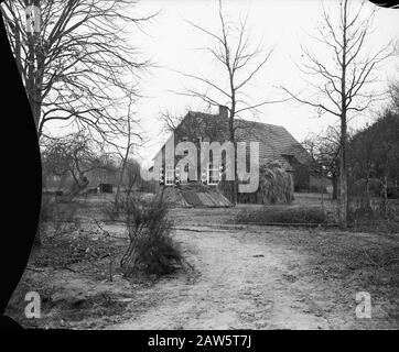 La Propriété D'Utrecht. Farm Langegracht Annotation: Le domaine doit son nom à la compagnie d'assurance-vie Utrecht, Insurance NV. La société a largement exploité les vastes landes à partir de 1898. Le 25 mai 1899, un départ a été fait avec l'exploitation minière des 700 premiers hectares. Les travaux ont été réalisés par le Heidemij. Finalement, la santé a été convertie en 1 800 hectares de forêt et 600 hectares de terres arables, et en outre, elle a continué d'exister même 400 hectares de nature. Date: Non daté lieu: Esbeek mots clés: Fermes, bâtiments Banque D'Images