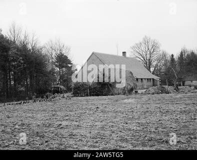 Propriété Utrecht. Farm Langegracht Annotation: Le domaine doit son nom à la compagnie d'assurance-vie Utrecht, Insurance NV. La société a largement exploité les vastes landes à partir de 1898. Le 25 mai 1899, un départ a été fait avec l'exploitation minière des 700 premiers hectares. Les travaux ont été réalisés par le Heidemij. Finalement, la santé a été convertie en 1 800 hectares de forêt et 600 hectares de terres arables, et en outre, elle a continué d'exister même 400 hectares de nature. Date: Non daté lieu: Esbeek mots clés: Fermes Banque D'Images