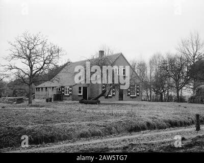 Propriété Utrecht. Farm Langegracht Annotation: Le domaine doit son nom à la compagnie d'assurance-vie Utrecht, Insurance NV. La société a largement exploité les vastes landes à partir de 1898. Le 25 mai 1899, un départ a été fait avec l'exploitation minière des 700 premiers hectares. Les travaux ont été réalisés par le Heidemij. Finalement, la santé a été convertie en 1 800 hectares de forêt et 600 hectares de terres arables, et en outre, elle a continué d'exister même 400 hectares de nature. Date: Non daté lieu: Esbeek mots clés: Fermes Banque D'Images