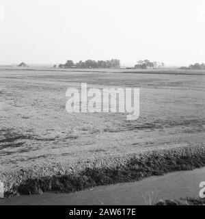 Exploitation minière, sol, nivellement, ponçage, consolidation des terres, Ring Polder Date : octobre 1959 lieu : Ring Polder mots clés : ponçage, nivellement, travail du sol, culture, consolidation des terres Banque D'Images