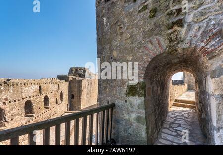 Citadelle de Despot Djuraj (ville intérieure), au-dessus du Danube, forteresse de Smederevo, cité fortifiée médiévale à Smederevo, district de Podunavlje, Serbie Banque D'Images