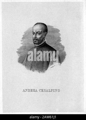 1600 CA , ITALIE : l'italien ANDREA CESALPINO ( 1519 - 1603 ), médecin, philosophe et botaniste . Portrait gravure du XIX siècle par E. Co Banque D'Images