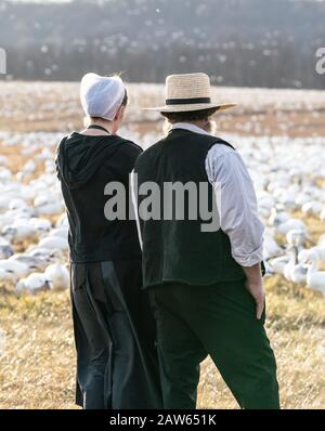 Lancaster County, Pennsylvanie, États-Unis: 3 février 2020: Couple amish regardant les oies des neiges à la réserve naturelle. Banque D'Images