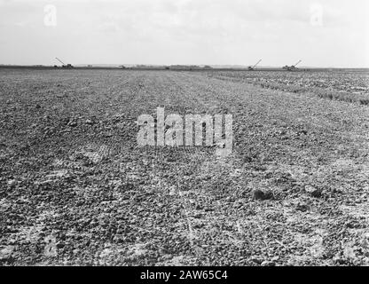 Exploitation minière, sol, nivellement, ponçage, parcelles de terrain, Ring Polder Date : août 1957 lieu : Ring Polder mots clés : ponçage, nivellement, sol, parcelles de terrain, développement Banque D'Images