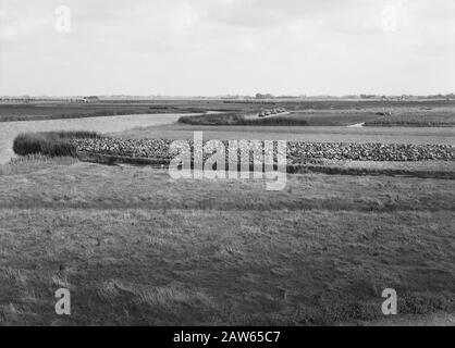 Exploitation minière, sol, nivellement, ponçage, consolidation des terres, Ring Polder Date : août 1957 lieu : Ring Polder mots clés : ponçage, nivellement, travail du sol, culture, consolidation des terres Banque D'Images