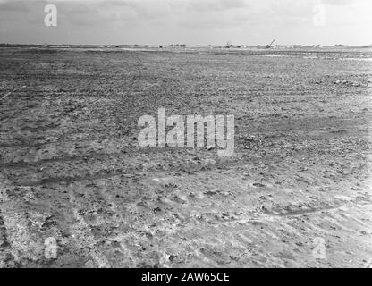 Exploitation minière, sol, nivellement, ponçage, parcelles de terrain, Ring Polder Date : août 1957 lieu : Ring Polder mots clés : ponçage, nivellement, sol, parcelles de terrain, développement Banque D'Images