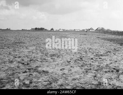 Exploitation minière, sol, nivellement, ponçage, terre, anneau Polder Date : août 1957 lieu : anneau Polder mots clés : ponçage, nivellement, travail du sol, culture, terre Banque D'Images