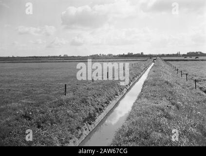 Nettoyage des eaux usées traitement des déchets municipaux, fossés de drainage Date: Non daté lieu: Noord-Brabant, Tilburg mots clés: Fossés de drainage, nettoyage des eaux usées traitement des déchets municipaux Banque D'Images