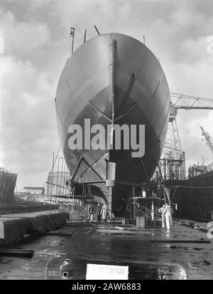 Ordre Marvo, Wilton-Fijenoord Et Rdm Rotterdam Date : 16 Janvier 1950 Lieu : Rotterdam, Hollande-Méridionale Mots Clés : Marine, Chantiers De Construction Navale Nom De L'Établissement : Wilton-Fijenoord Banque D'Images