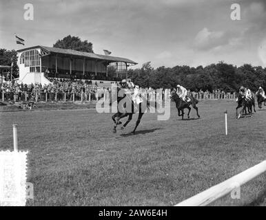 Course De Chevaux Sur Duindigt Date: 12 Août 1956 Lieu: La Haye, Pays-Bas Nom De L'Institution: Duindigt Banque D'Images