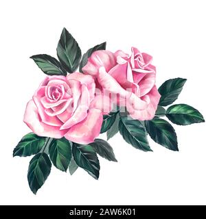 fleur rose rose avec feuilles vertes, illustration d'art peinte avec des aquarelles isolées sur fond blanc. Banque D'Images