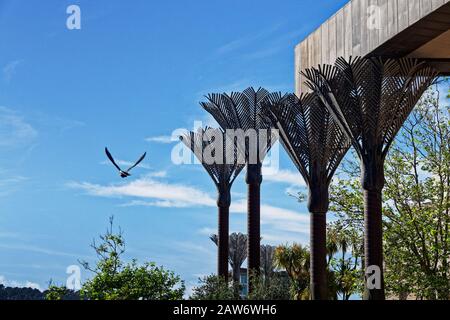 Wellington, WELLINGTON/NOUVELLE-ZÉLANDE – 5 DÉCEMBRE 2015 : [colonnes de palmier Nikau Wellington City Library faites par l'artiste Ian Athfield avec faucon de harrier.] Banque D'Images