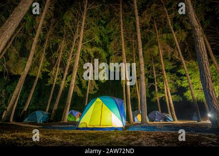 Aventures Camping tourisme et tente sous la vue paysage de la forêt de pins près de l'eau nuit extérieure à Pang-ung, parc forestier de pins , Mae Hong son, Thaila Banque D'Images