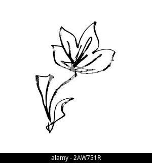 Peinture à l'encre de fleur dessin à la main et style art calligraphe japonais, conception de ligne isolée vectorielle. Fleur japonaise, fleur de prune ou pétales d'abricot chinois méihua avec encre ou texture de grunge crayon Illustration de Vecteur