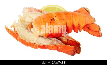 Deux queues de homard cuites isolées sur fond blanc Banque D'Images