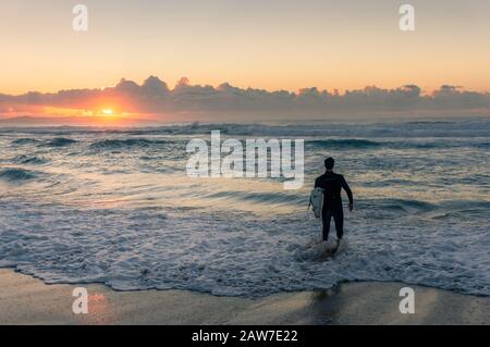 Sydney, Australie - 14 avril 2017 : surfeuse avec planche à voile entrant dans l'océan au lever du soleil Banque D'Images