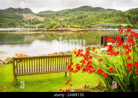 Un emplacement fantastique pour un petit jardin privé de village de lochside à Plockton Scottish Highlands Ecosse Royaume-Uni Banque D'Images