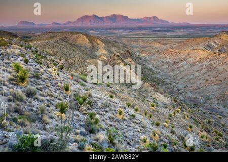 Chisos Mountains, vue à distance de Old Ore Road, route jeep près de McKinney Spring, désert de Chihuahuan, dans le parc national de Big Bend, Texas, États-Unis Banque D'Images