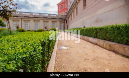 Jardins du château devant le château royal de Varsovie, façade saxonne Pologne. Aménagement paysager, parc avec arbustes et pelouses vertes. Banque D'Images