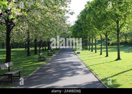 Chemin avec une rangée de bancs et d'arbres Banque D'Images