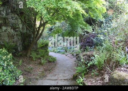 Chemin de balayage avec feuillage suspendu Banque D'Images